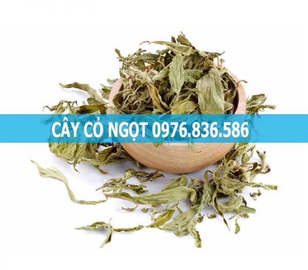 Cây cỏ ngọt