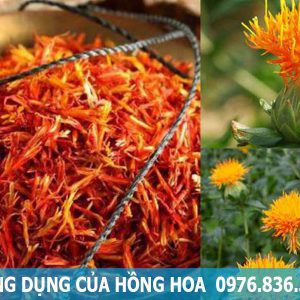 công dụng của cây hồng hoa