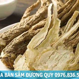 mua bán sâm đương quy