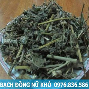 mua bán sản phẩm bạch đồng nữ khô