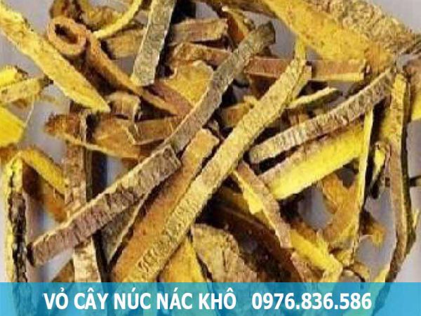 lưu ý khi sử dụng cây núc nác