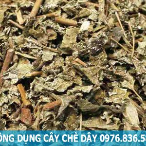 công dụng cây chè dây