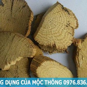 công dụng của mộc thông