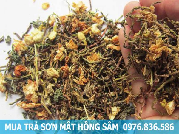 mua trà sơn mật hồng sâm