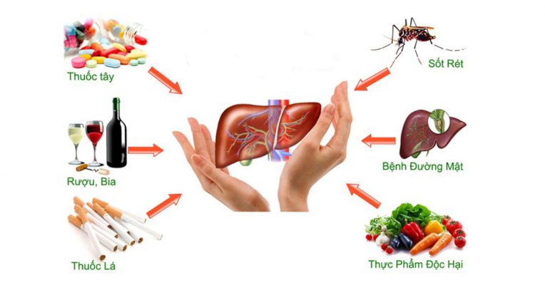 Cần tránh xa các thực phẩm không tốt cho gan