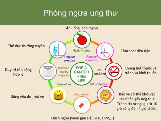 Ăn uống sinh hoạt điều độ để phòng chống bệnh ung thư