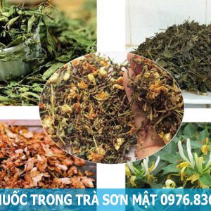 vị thuốc trong trà sơn mật hồng sâm