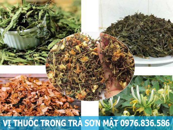 vị thuốc trong trà sơn mật hồng sâm