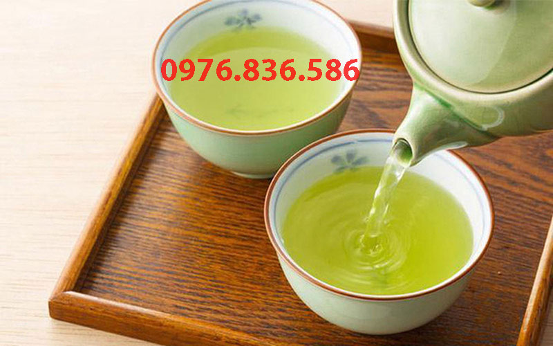 Chè dung có thể đem hãm với nước sôi