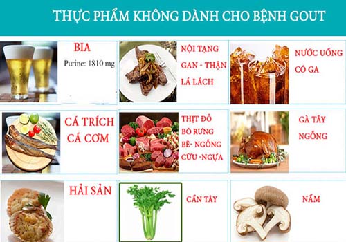 Một số thực phẩm người bị Gout không nên ăn