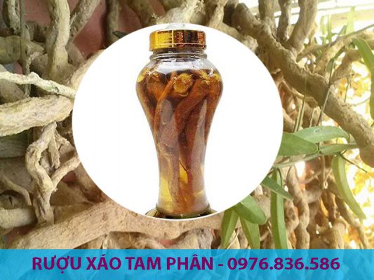 Rượu Xáo tam phân rất tốt cho sức khỏe