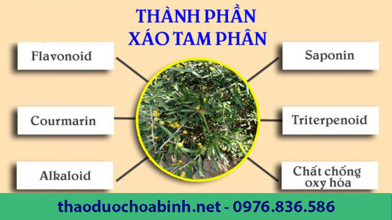 Xáo tam phân có nhiều hoạt chất tốt cho sức khỏe