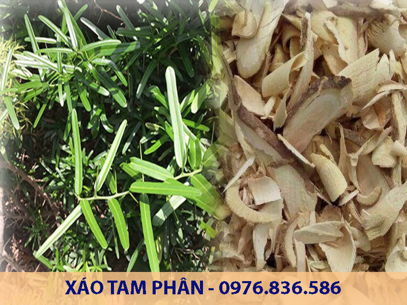 Xáo tam phân đem lại nhiều lợi ích tốt cho sức khỏe