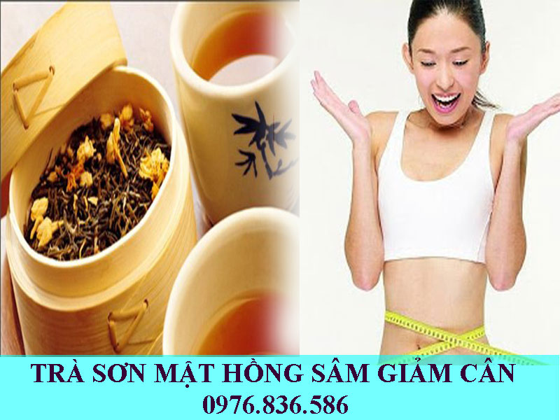 Trà Sơn nhật hồng sâm giúp giảm cân hiệu quả