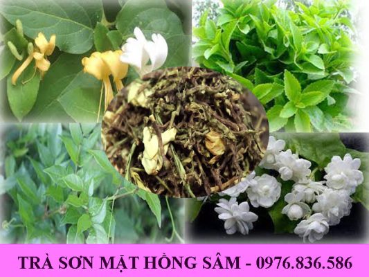 Trà sơn mật hồng sâm giúp ngủ ngon giấc