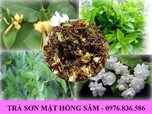 Trà sơn mật hồng sâm chứa nhiều thành phần giúp an thần, ngủ ngon giấc