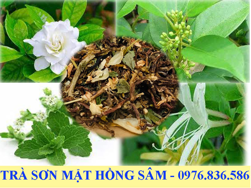 Trà Sơn mật hồng sâm