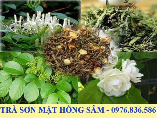 Trà Sơn mật hồng sâm là thức uống bổ dưỡng cho mọi lứa tuổi