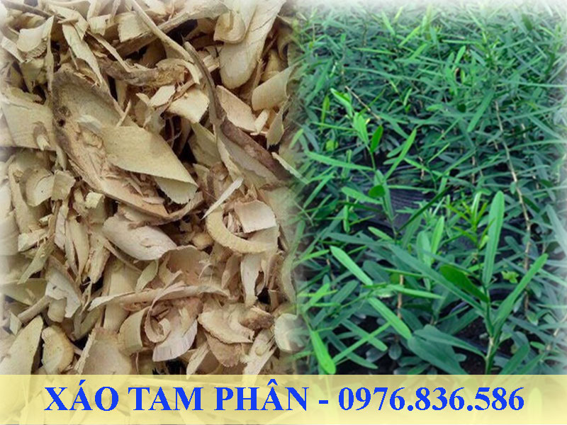 Xáo tam phân Khánh Hòa được nhiều người tìm kiếm