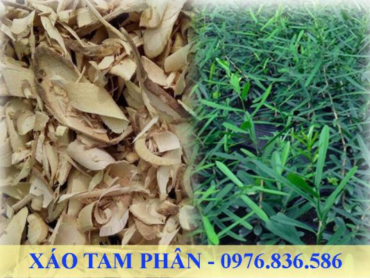 Xáo tam phân hỗ trợ ung thư hiệu quả