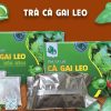 vị thuốc trà túi lọc cà gai leo