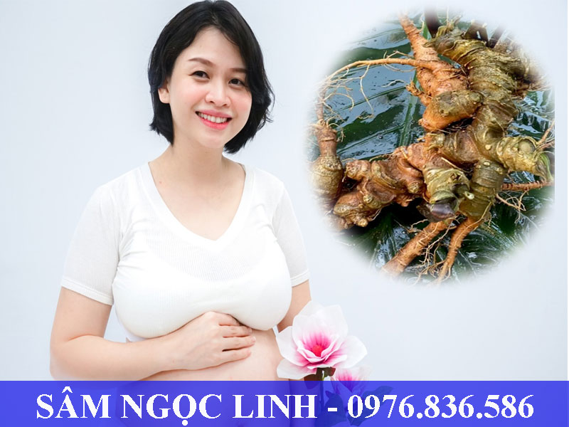 Mẹ bầu uống sâm Ngọc Linh có thể gây sẩy thai hoặc sinh non