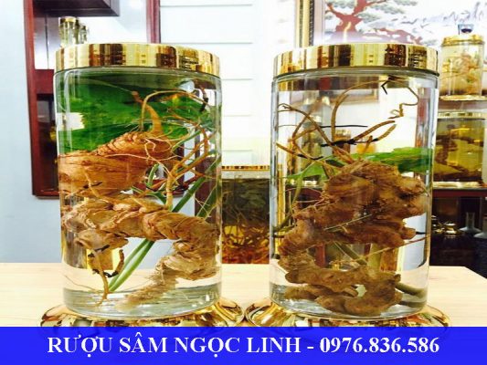 Rượu củ sâm Ngọc Linh