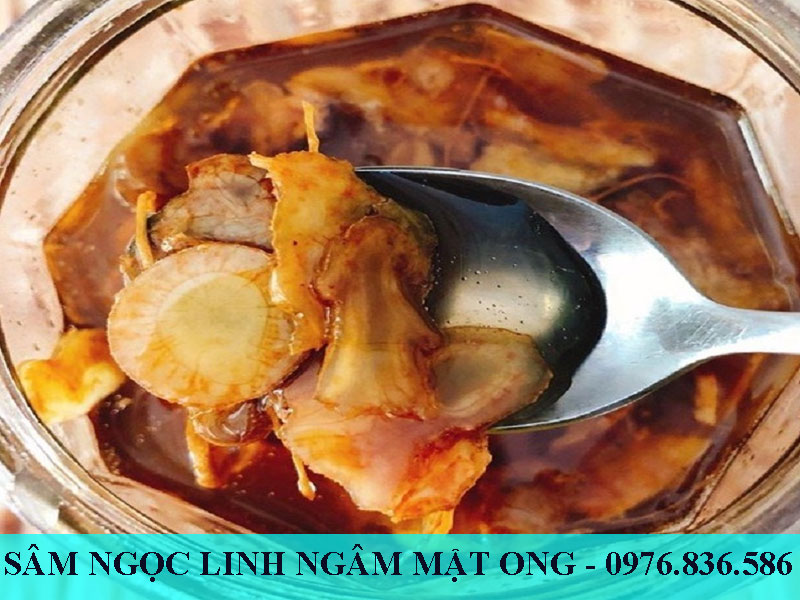 Sâm Ngọc Linh ngâm mật ong -  thần dược làm đẹp cho chị em phụ nữ