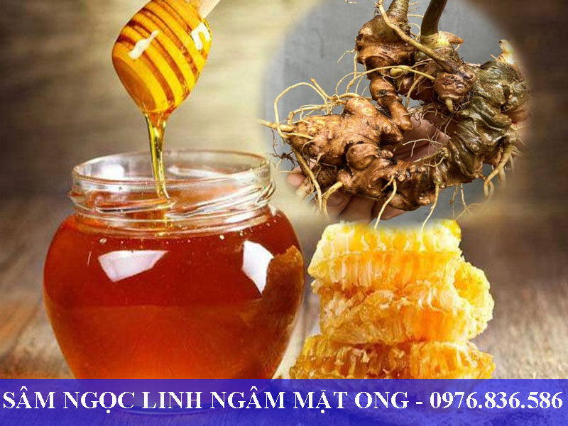 Sâm Ngọc Linh mang lại nhiều giá trị cho sức khỏe