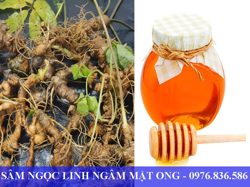 Phụ nữ có thai không nên dùng loại sâm này