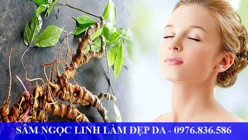 Sâm ngọc linh - thần dược cho làn da phụ nữ