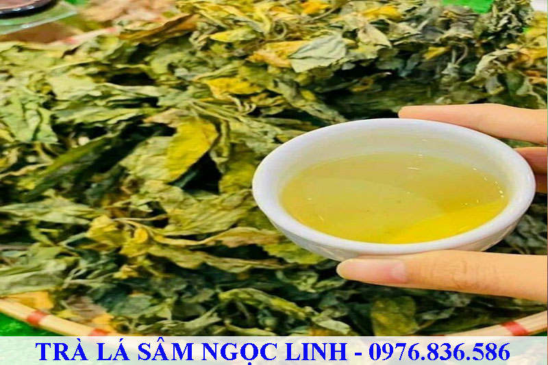 Sâm Ngọc Linh có thể đem pha trà rất tiện lợi