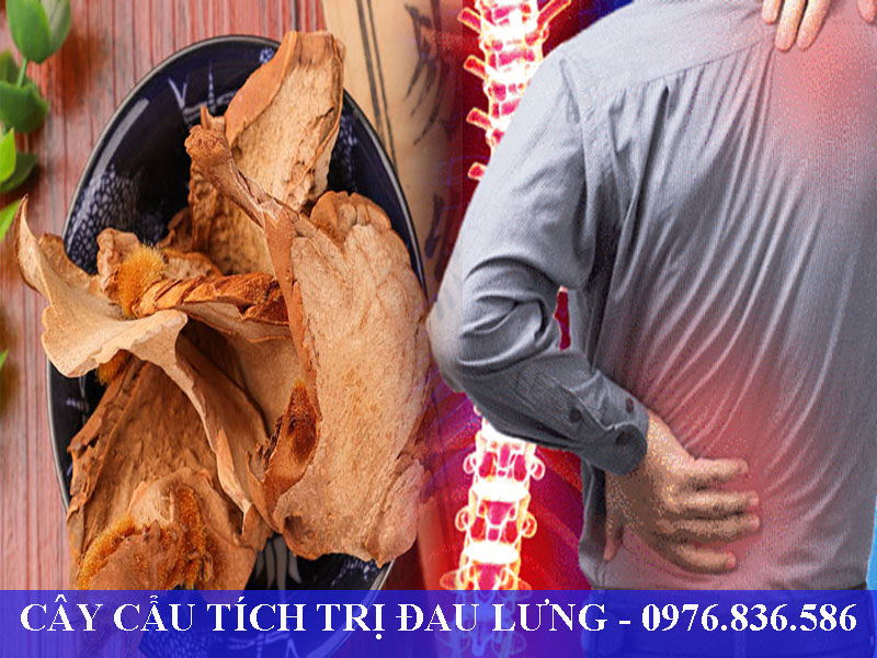 Có nhiều nguyên nhân dẫn tới đau lưng