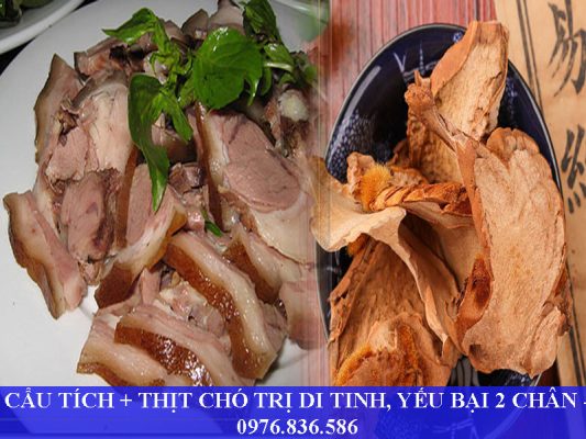 Cẩu tích nấu thịt chó dùng cho các trường hợp di tinh, di niệu, yếu bại hai chân