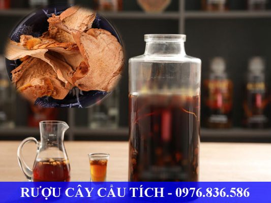 Uống rượu cẩu tích giúp giảm đau nhức xương khớp