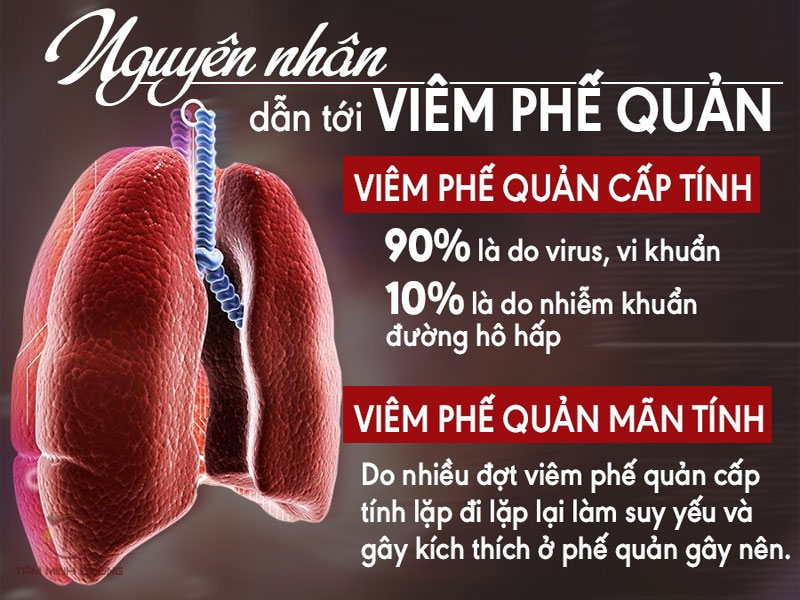 Nguyên nhân gây ra viêm phế quản