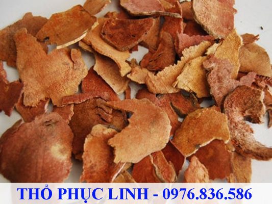 Thổ phục linh rất tốt cho sức khỏe