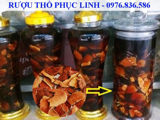 Không nên lạm dụng rượu Thổ phục linh để trị bệnh