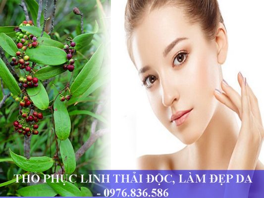 Thổ phục linh giúp thải độc, làm đẹp da cho chị em