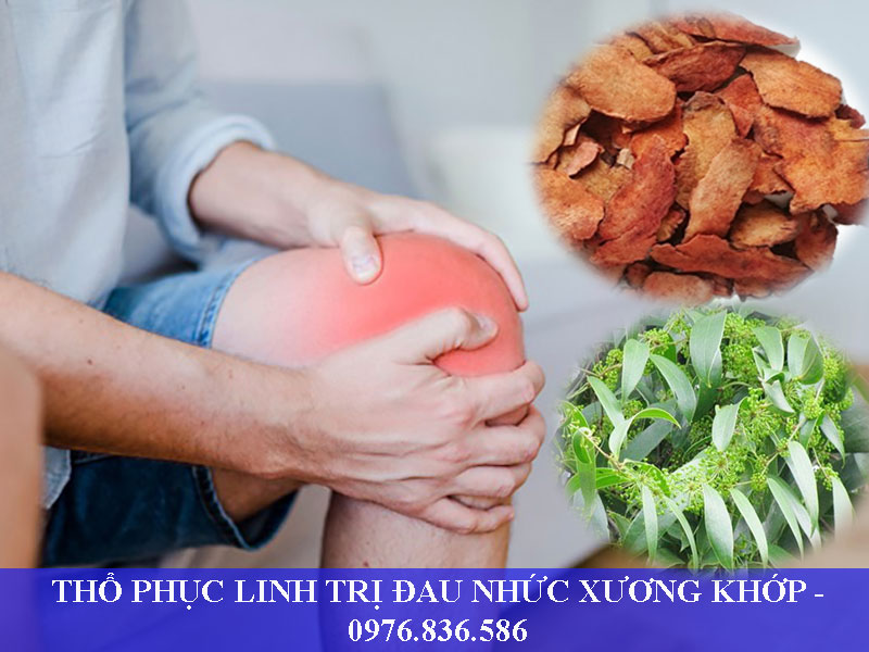 Thổ phục linh trị đau nhức xương khớp hiệu quả