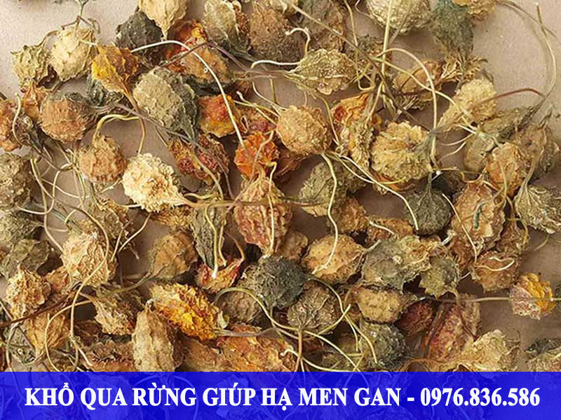 Khổ qua rừng tăng cường sự chuyển hóa chức năng gan