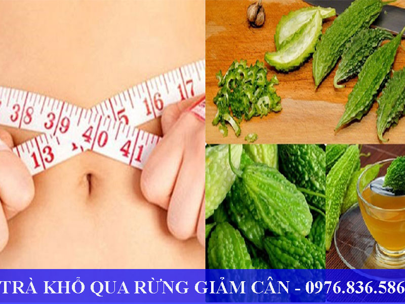 Khổ qua rừng giúp giảm cân an toàn và hiệu quả