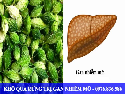 Trà khổ qua hoặc nước ép khổ qua rừng giúp giảm mỡ trong gan