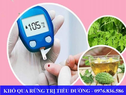 Khổ qua rừng trị tiểu đường hiệu quả