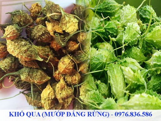 Khổ qua rừng được nhiều người tìm mua để trị bệnh