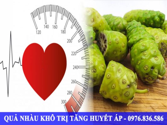 Quả nhàu khô trị bệnh tăng huyết áp