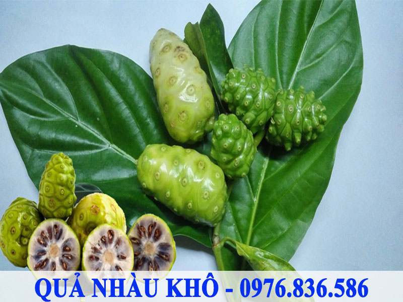 Quả nhàu chứa nhiều dưỡng chất tốt cho sức khỏe