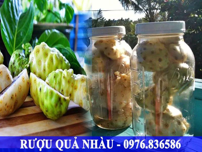 Quả nhàu khô ngâm rượu trị tiểu đường