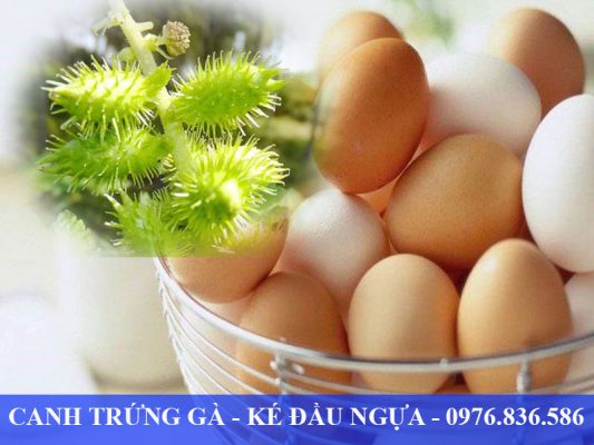 Canh trứng gà - Ké đầu ngựa trị sốt rét